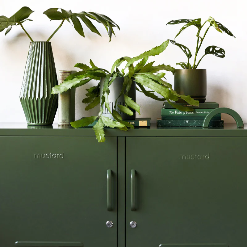 Green cabinet with plants and decorative items on a white background
