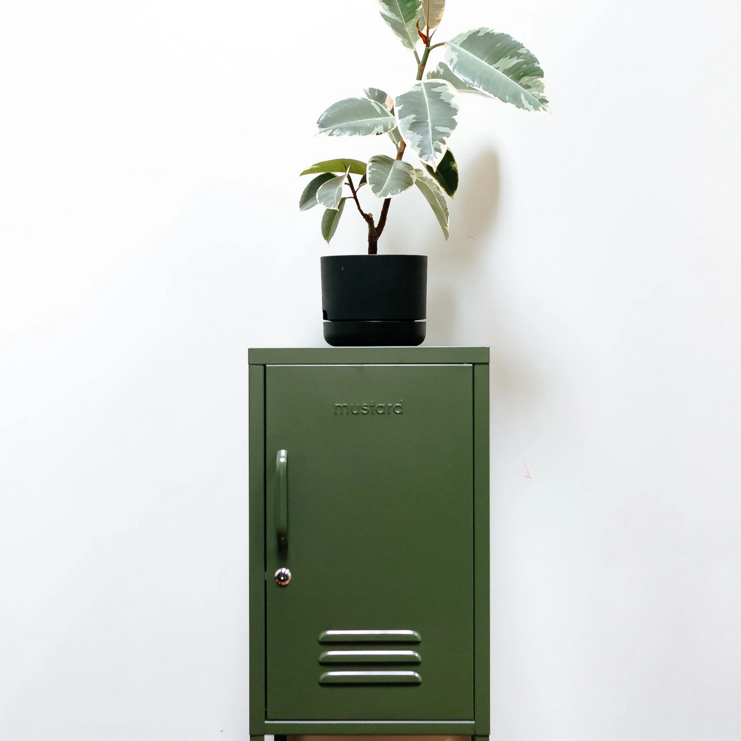 Green metal cabinet with a plant on top against a white wall.