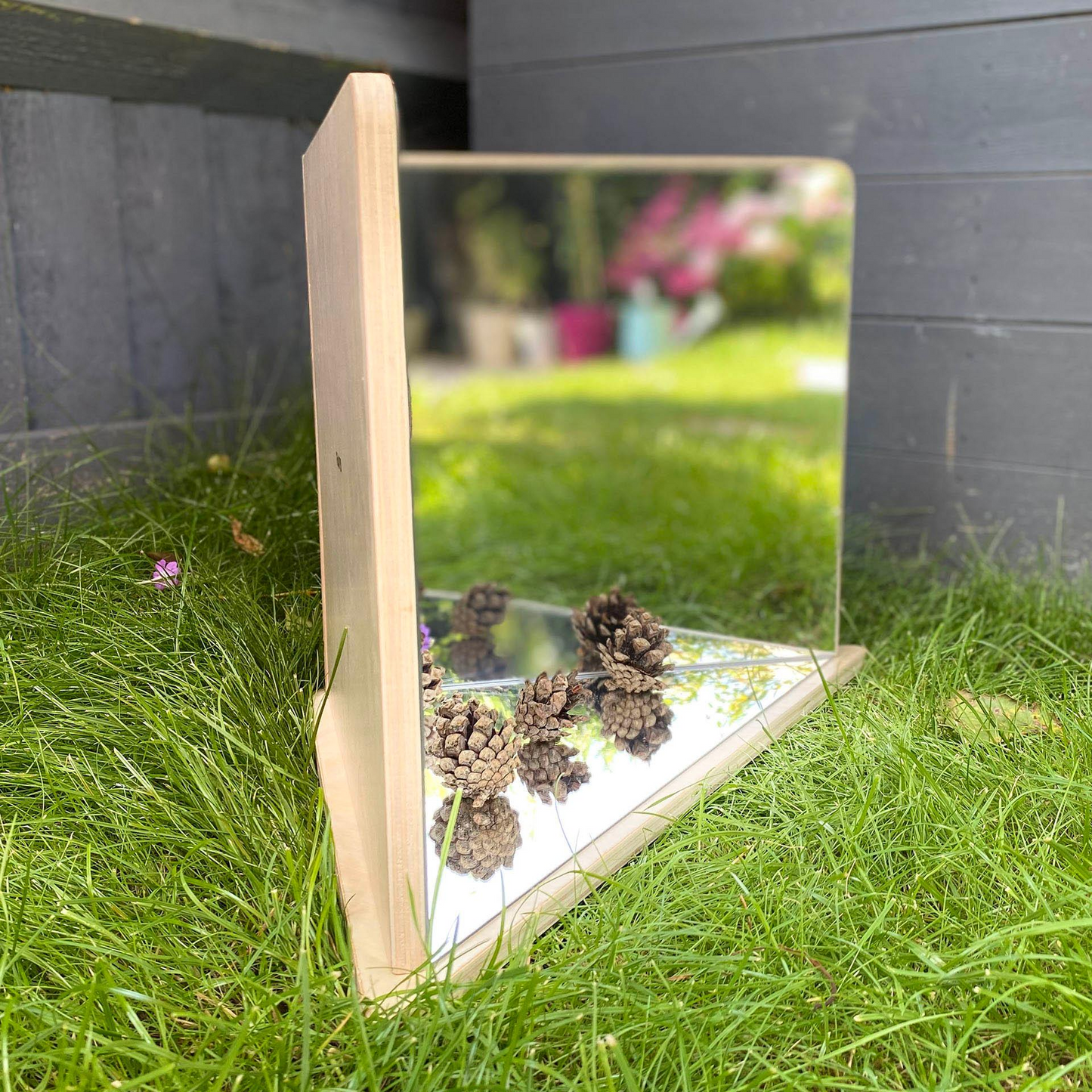 Mirror with pinecones on a grassy surface