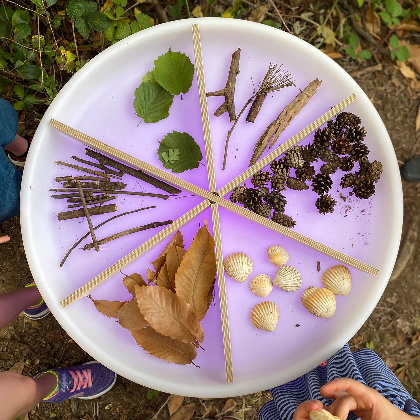 Discovery table with wooden dividers with natural loose parts in an outside environment