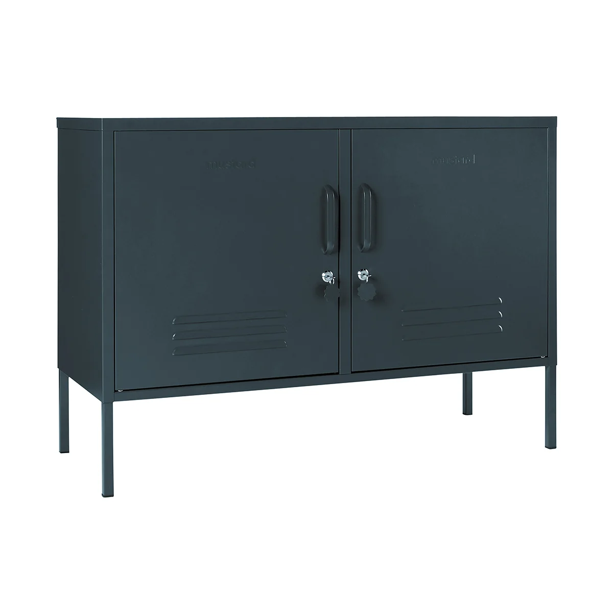 Dark gray metal cabinet with two doors on a white background