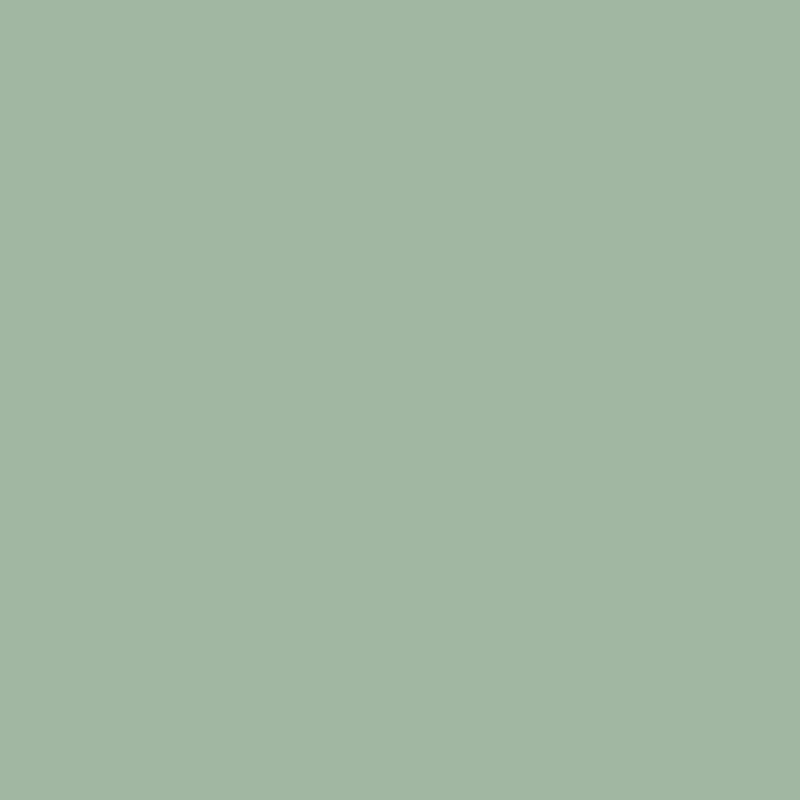 Solid light sage colour swatch