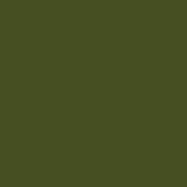 Olive Green Colour Swatch