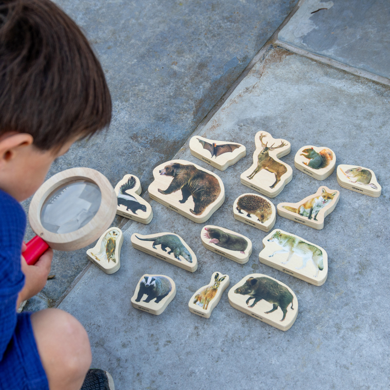 Wooden Animal Figure Blocks Bundle