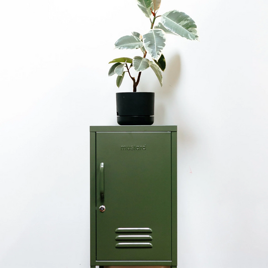 Green metal cabinet with a plant on top against a white wall.