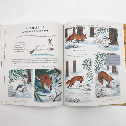 Book pages about winter and nature.