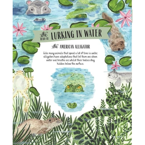 Illustrated book page about alligators in water with colorful illustrations and text.