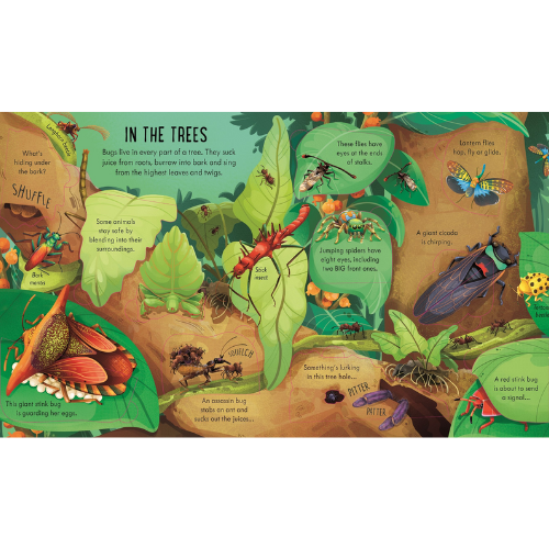 Illustrated book page showing various insects and animals in a forest setting.