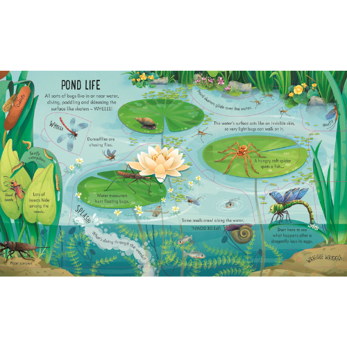 Illustration of pond life with various aquatic creatures and plants.