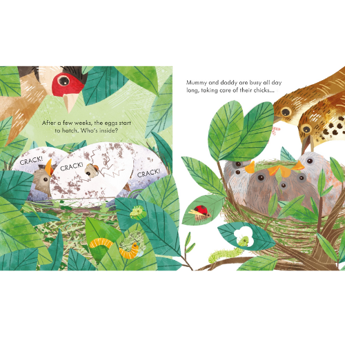 Illustrated book page with birds and nest, featuring text about eggs hatching.