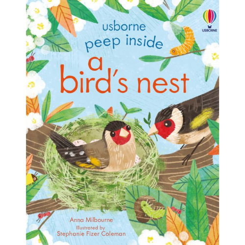 Peep Inside a Bird's Nest