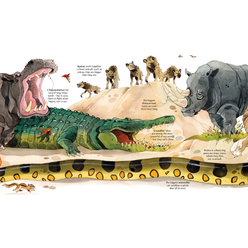Illustration of various animals with descriptive text on a white background
