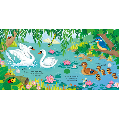 Illustration of a pond scene with swans, ducks, and waterfowl.