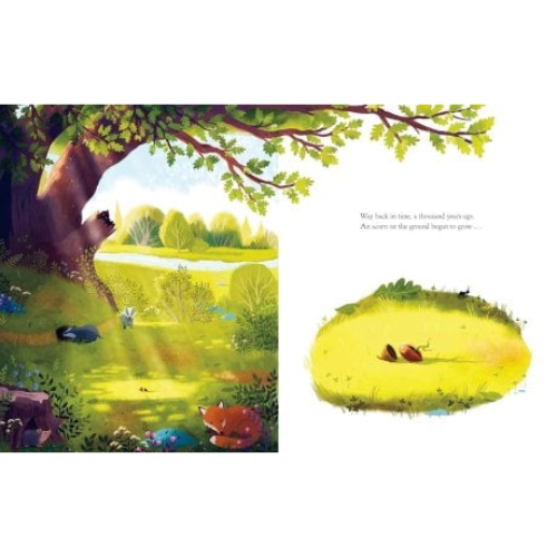 Illustration of a forest scene with animals and a close-up of a tree stump.