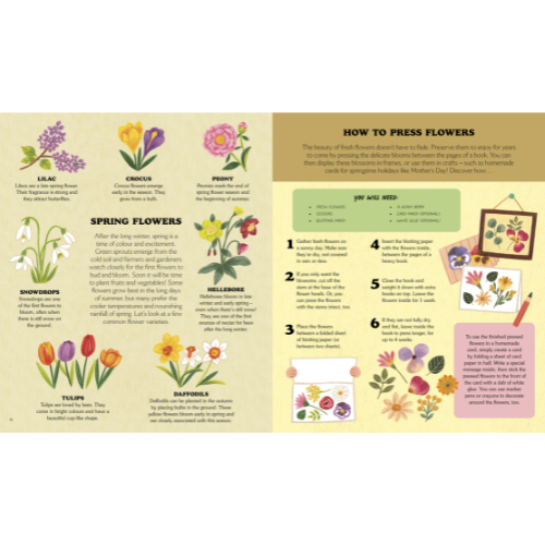 Educational page about flowers with illustrations and text on a yellow background