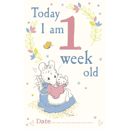Illustration of a mouse holding a baby mouse with decorative elements and text on a light background