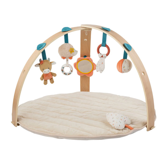 Wooden baby play gym with hanging toys on a white background