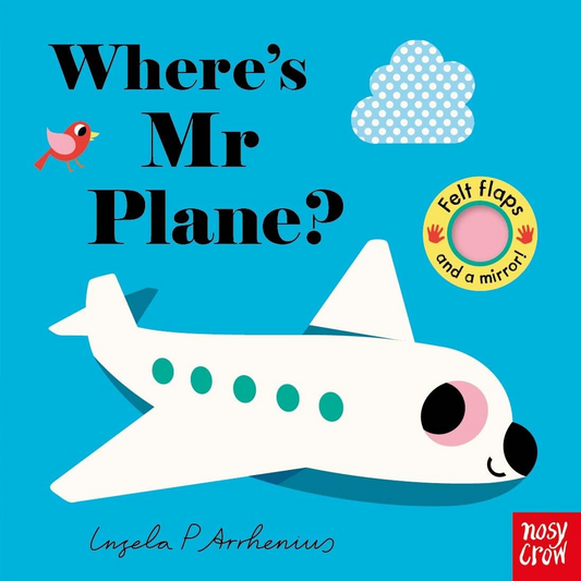 Book cover of 'Where's Mr Plane?' with a cartoon airplane, bird, and cloud on a blue background.