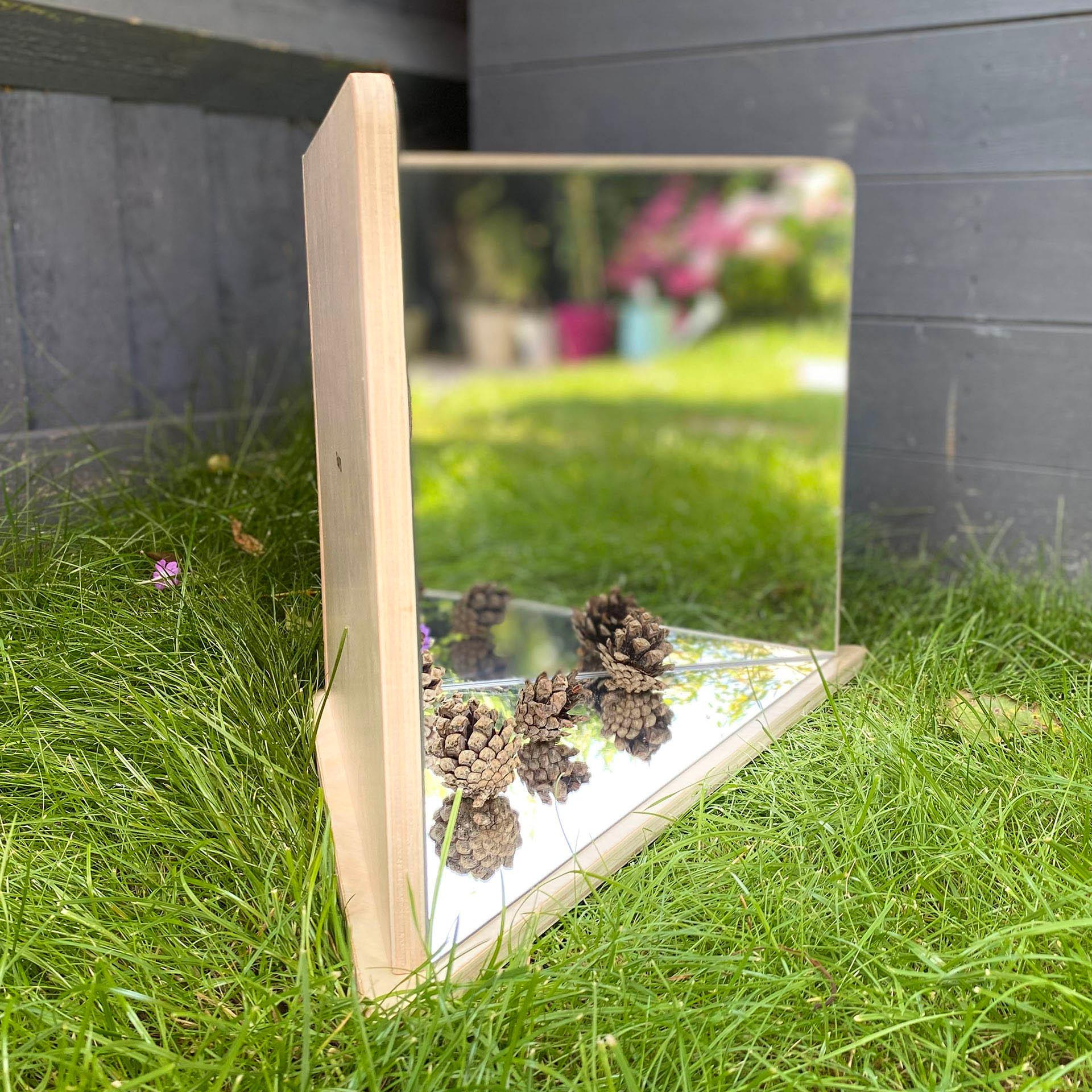 Mirror with pinecones on a grassy surface