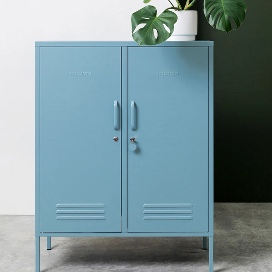 Blue metal cabinet with a plant on top against a white and black background