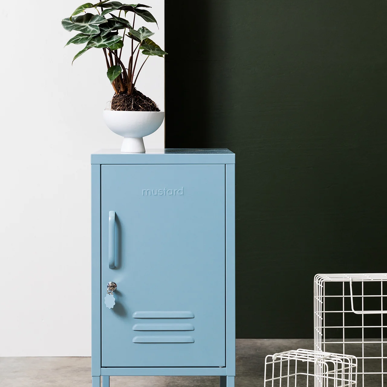 Light blue metal cabinet with a plant on top against a dark wall.