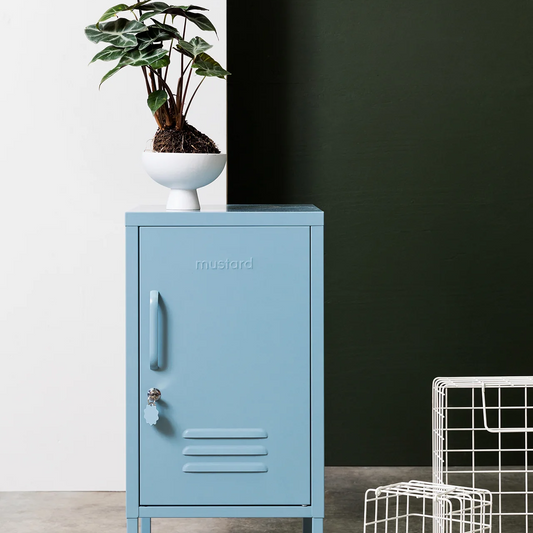 Light blue metal cabinet with a plant on top against a dark wall.