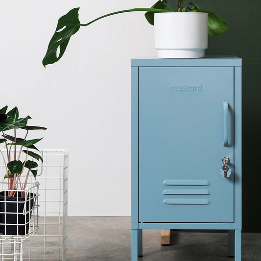 Blue metal locker with a plant on top against a white wall