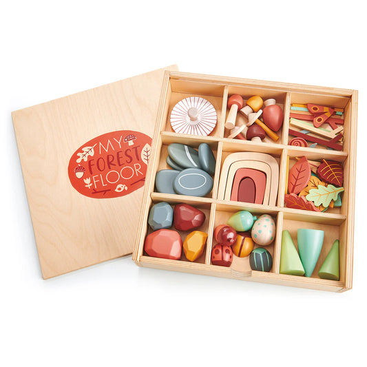 Wooden toy set with colorful pieces in a box labeled 'My Forest Floor' on a white background.