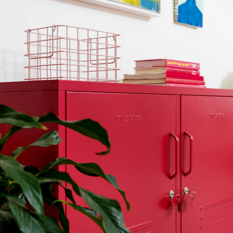 Locker in home environment with books  on top with a plant to the side