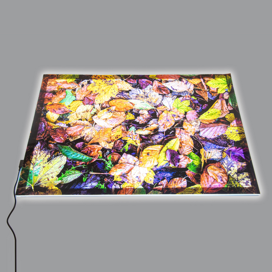 LED light panel with colorful leaf pattern on a gray background