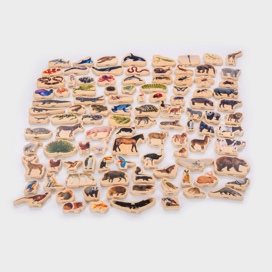Collection of wooden animal figurines on a white background